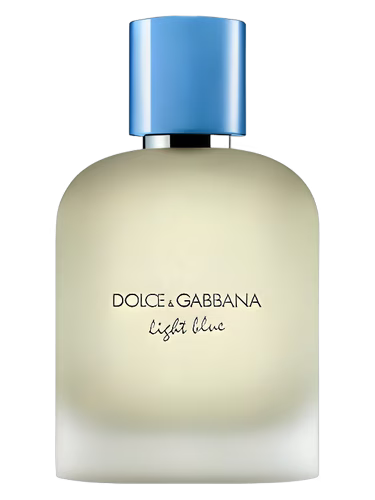 Dolce & Gabbana Light Blue Pour Homme
