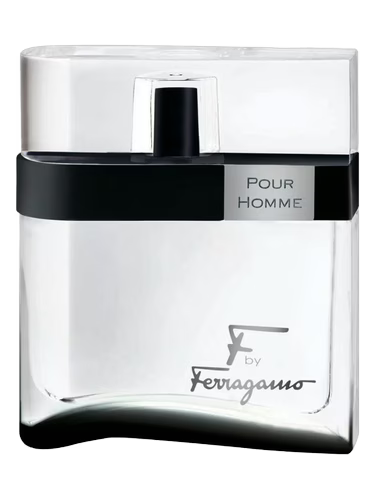 Salvatore Ferragamo F by Ferragamo Black