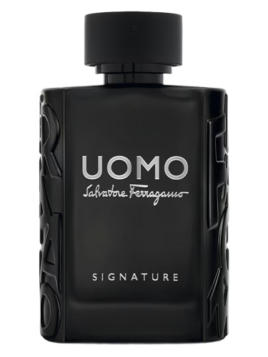 Salvatore Ferragamo Uomo Signature